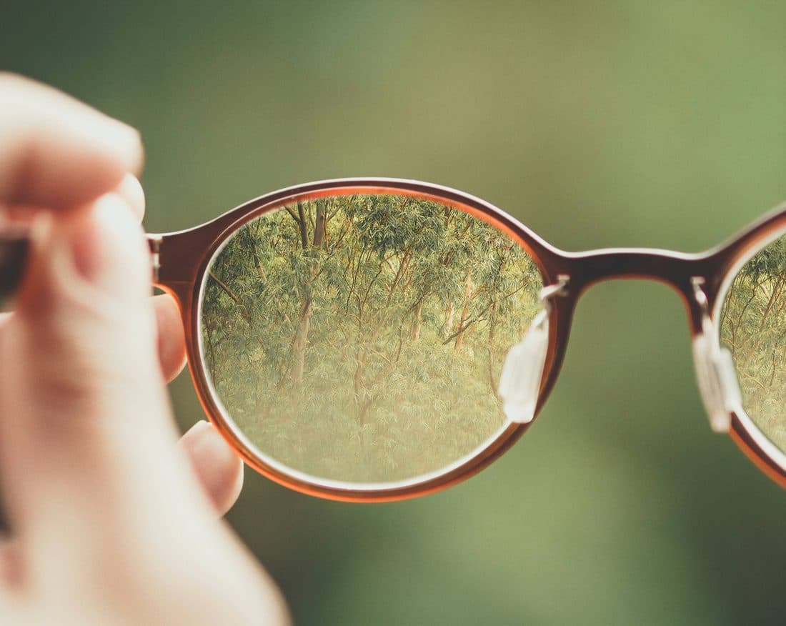 Une paire de lunettes qui rend nette une forêt